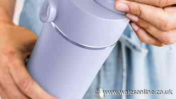 Ninja Thirsti water bottle that keeps drinks 'fizzy all day' falls to £8