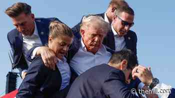 Thomas Crooks trained with long rifle up to the day before he shot at Trump: docs