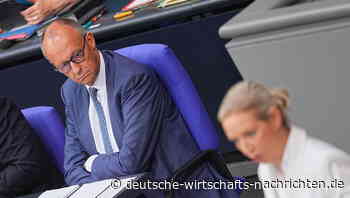 AfD-Erfolg: Warum sind extreme Optionen so beliebt?
