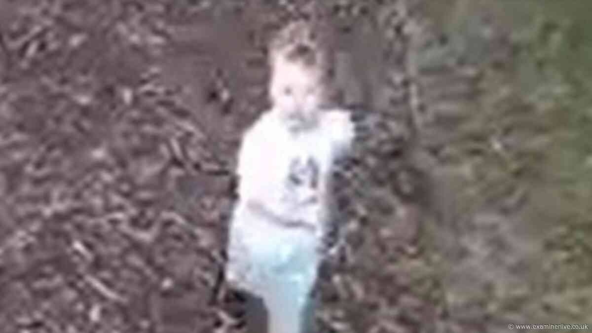 Missing Noah Woods CCTV picture released as police outline last-known movements of three-year-old boy