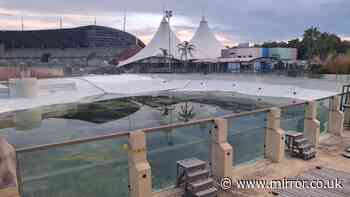 Inside 'eerie' abandoned theme park where orca mum and son held captive after closing