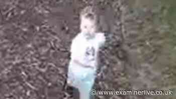 Missing Noah Woods CCTV picture released as police outline last-known movements of three-year-old boy