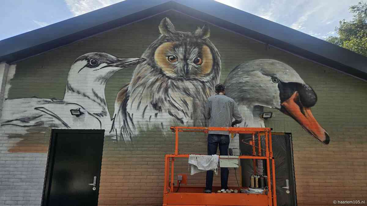 Joost Zwanenburg schildert Haarlemse muren vol vogels