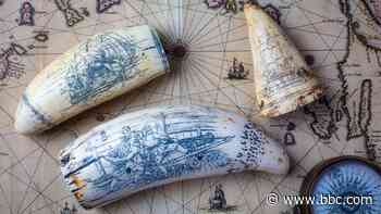 The controversial US art of engraving whale teeth