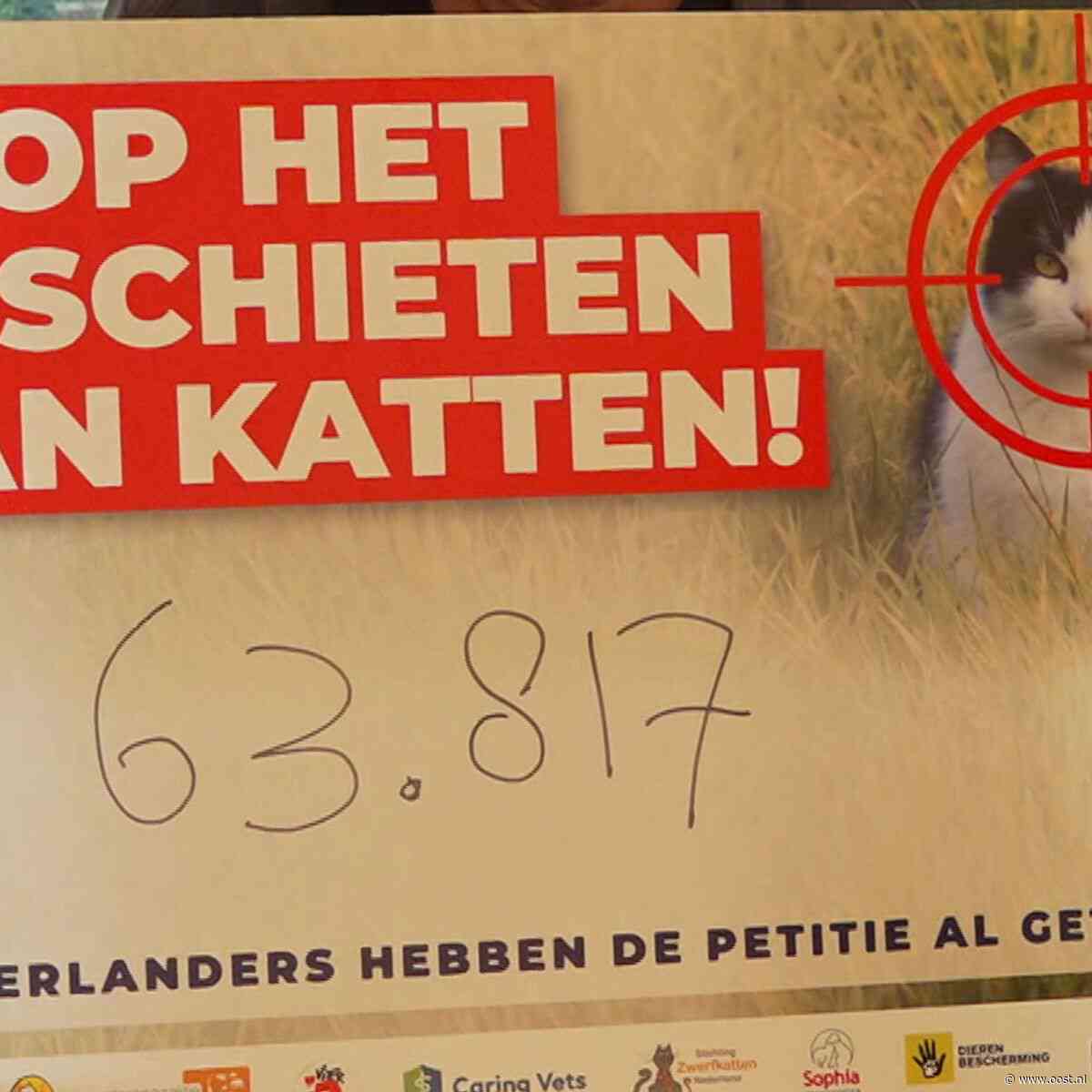 Petitie tegen afschieten katten aangeboden aan provincie: 63.817 handtekeningen