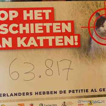 Petitie tegen afschieten katten aangeboden aan provincie: 63.817 handtekeningen