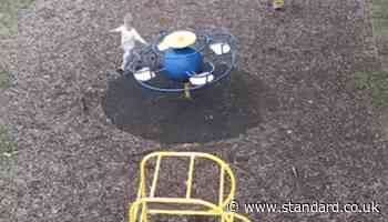 Noah Woods search latest: CCTV released of last sighting of missing boy, 3, as lake cordoned off in hunt