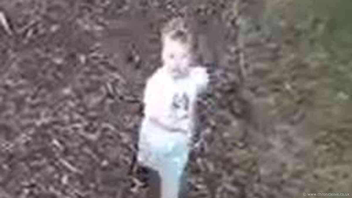 CCTV shows missing three-year-old Noah Woods moments before disappearing