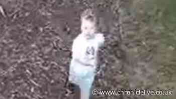 CCTV shows missing three-year-old Noah Woods moments before disappearing