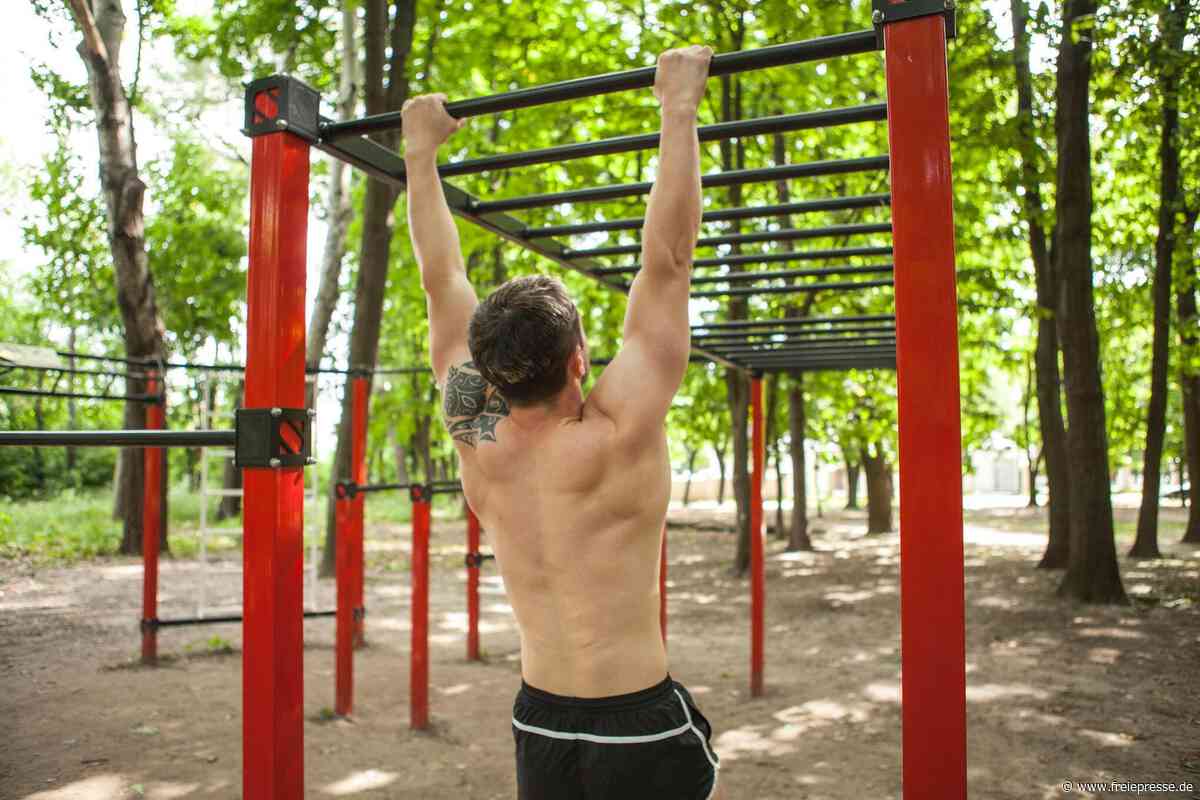Streit um barrierefreie Spielgeräte im Stadtpark Zwickau-Marienthal: Petition gescheitert
