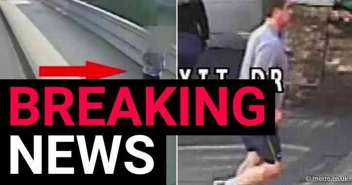 Putney Pusher suspect found dead after being released under investigation