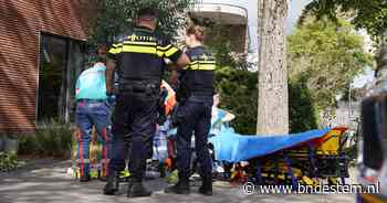 Man springt uit hoogwerker na aanval door Aziatische hoornaars in Vught en raakt zwaargewond