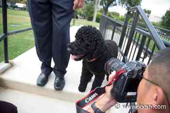 The Obamas' family dog Sunny dies, the former president says