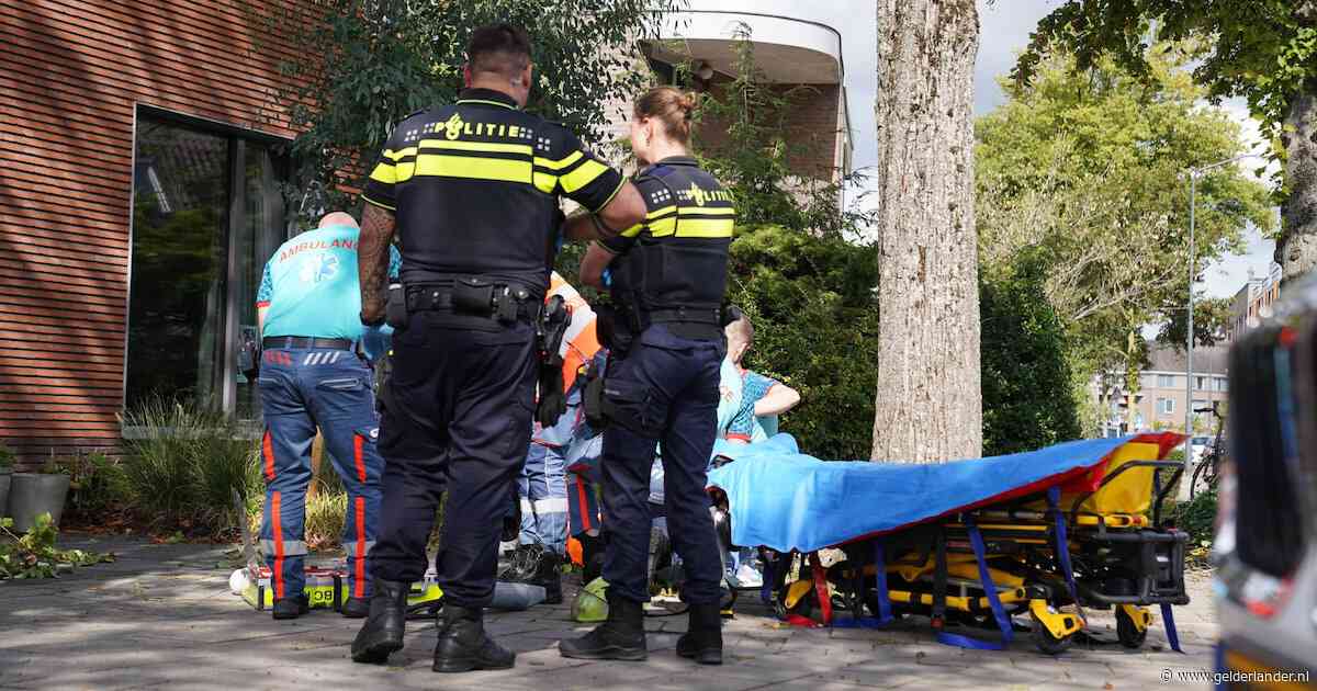 Man springt uit hoogwerker na aanval door Aziatische hoornaars en raakt zwaargewond