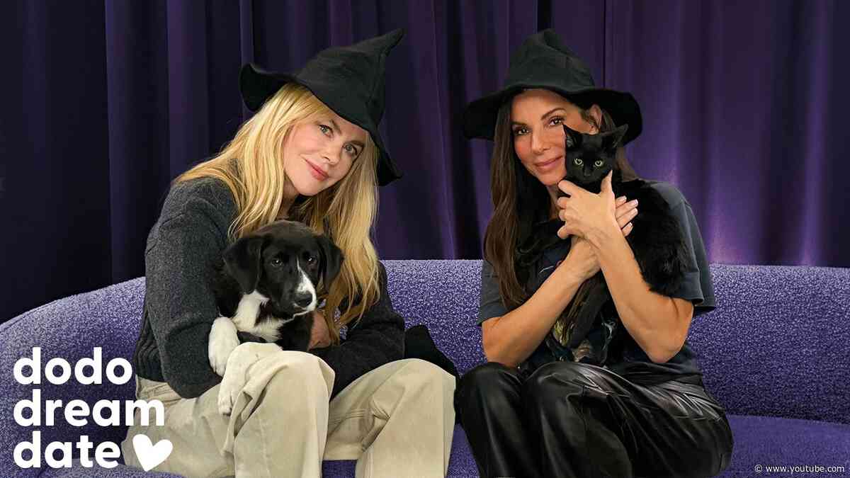 Sandra Bullock & Nicole Kidman On How Rescue Animals Shaped Their Lives | The Dodo