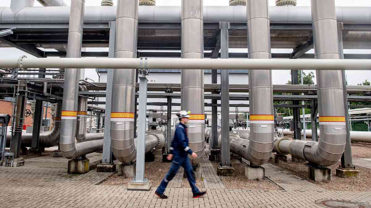 Der Staat hat beim Gas Fehler gemacht – doch verzockt haben sich andere  
