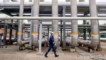 Der Staat hat beim Gas Fehler gemacht – doch verzockt haben sich andere  