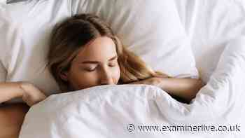 Dunelm's 'light but warm' £12 autumn duvet gives shoppers 'a good night's sleep'