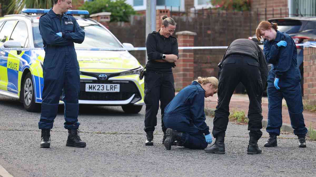 Neighbours' gun fears on quiet Fenham street as three firearms suspects arrested