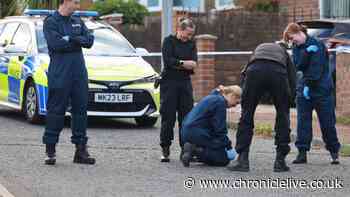 Neighbours' gun fears on quiet Fenham street as three firearms suspects arrested