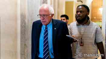 Sanders: 'Embarrassing' how 'ignorant' Trump is on AI