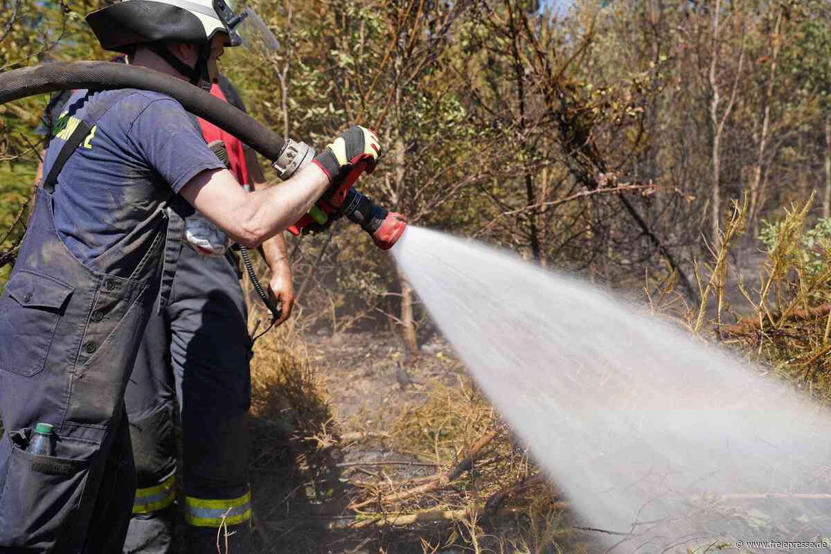 Nach Waldbrand in Plauen: So bedankt sich die Stadt bei den vogtländischen Einsatzkräften