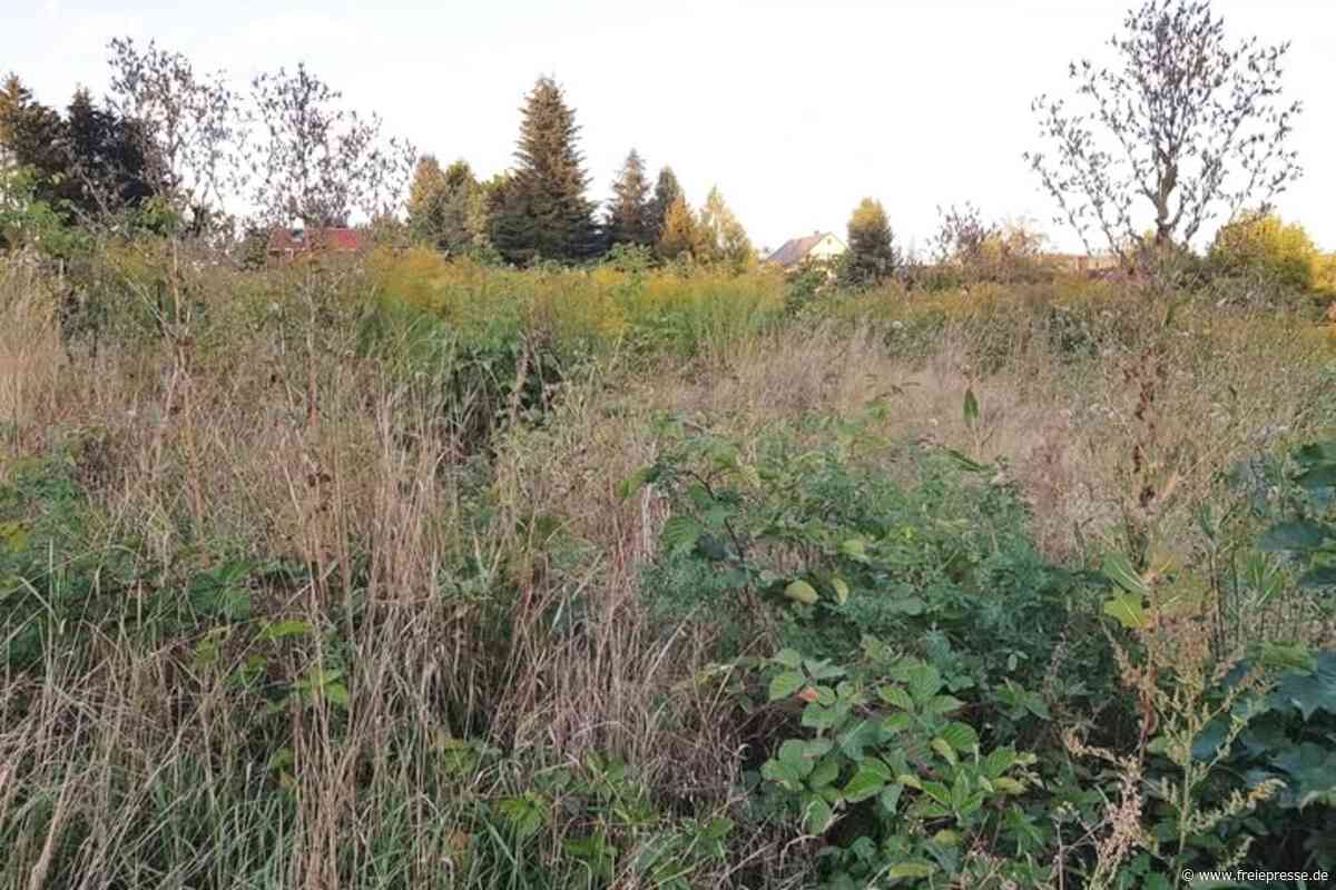 Warum ein Wohngebiet in einem Vogtland-Dorf schrumpft