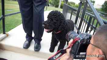 Obamas announce death of family dog Sunny