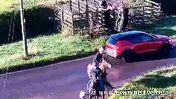 Driver flies past racehorses missing one by inches during heart-in-mouth footage