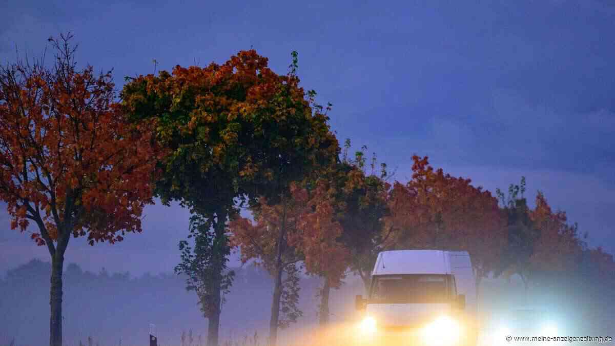So kommen Autofahrer sicherer durch den Herbst