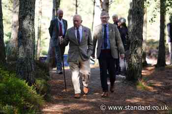 King voices ‘admiration and appreciation’ for those who tackled wildfires