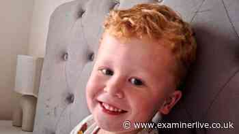 'I can't go another night': Dad's plea in hunt for missing Noah, 3