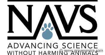 National Anti-Vivisection Society report examines animal welfare violations at US research laboratories