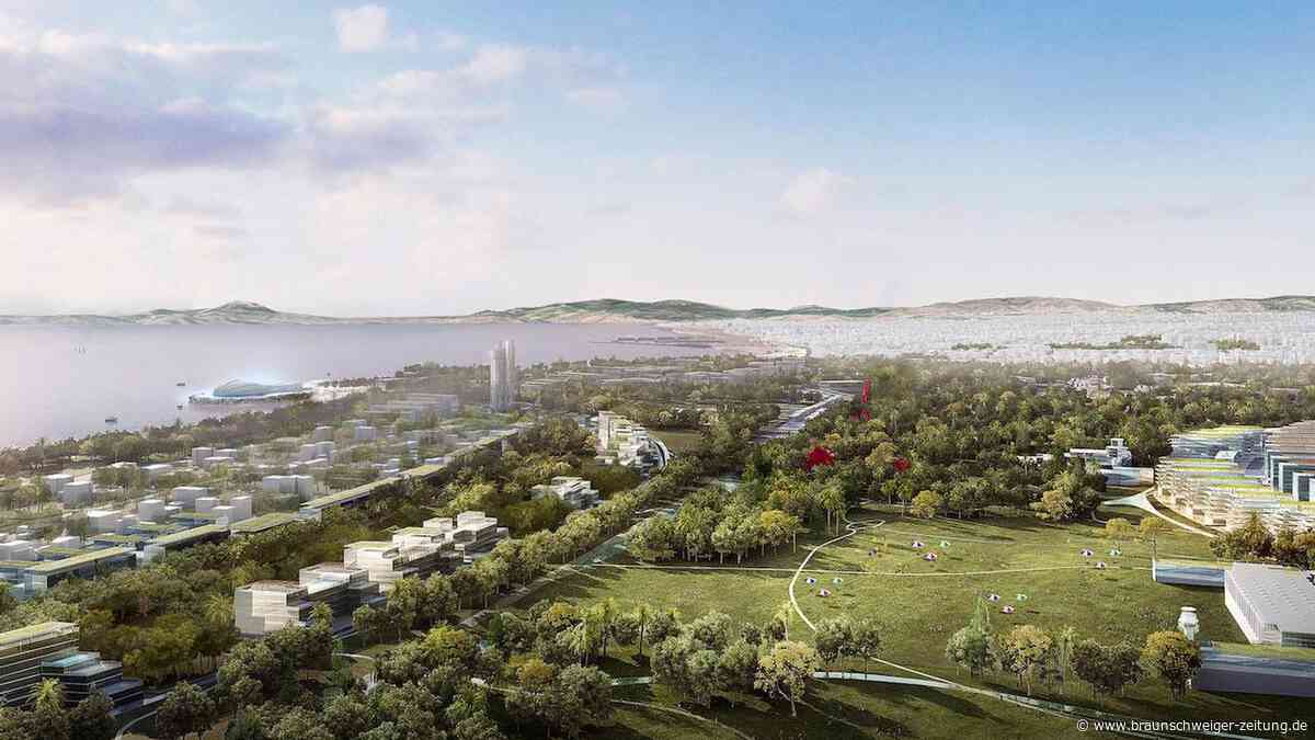 Grüner Riesenpark in Griechenland: Deshalb muss hier kaum gegossen werden