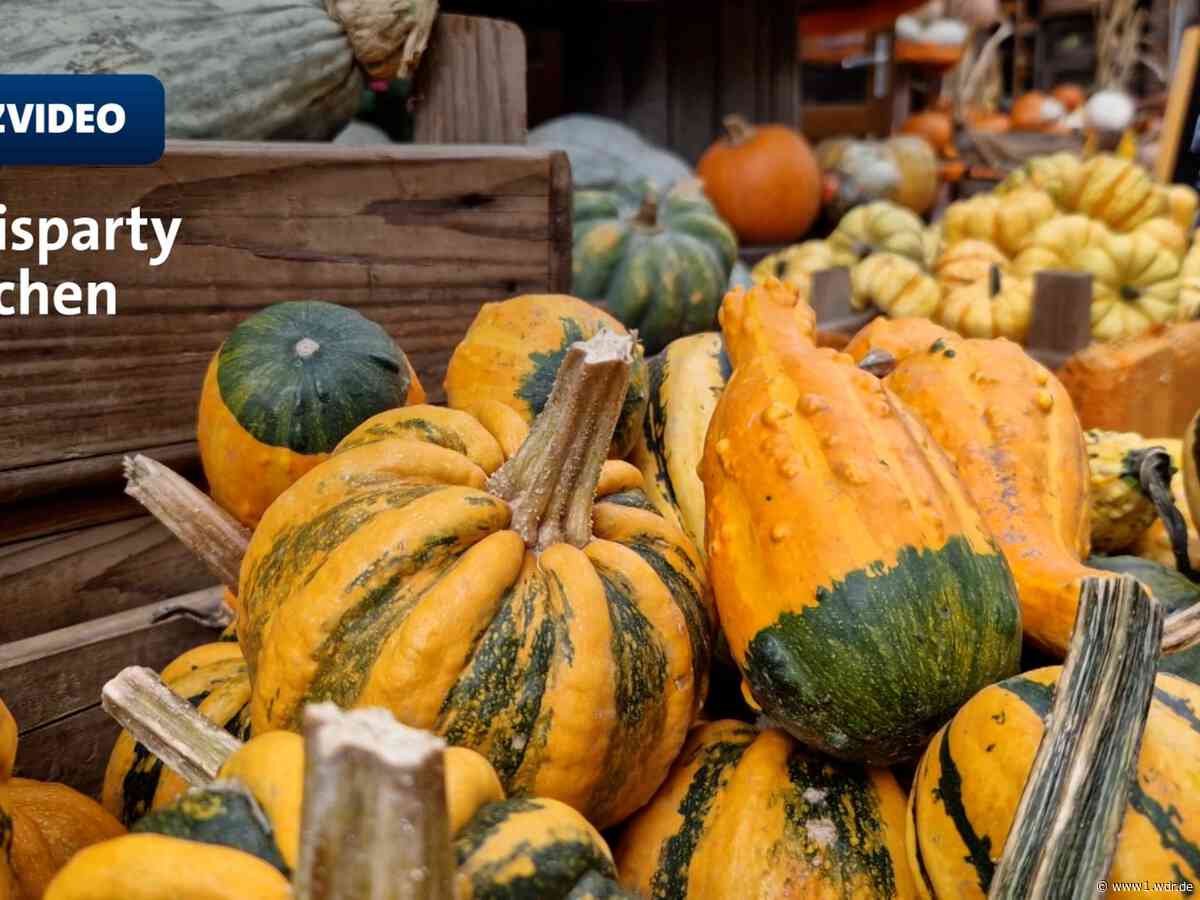Äpfel- und Kürbishöfe in NRW machen Lust auf den Herbst