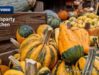 Äpfel- und Kürbishöfe in NRW machen Lust auf den Herbst