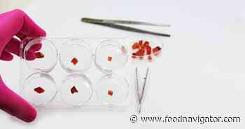 Embryonic stem cells could boost cultivated meat research
