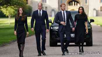 Prince William and Kate see Harry and Meghan 'return to UK drama as sideshow'