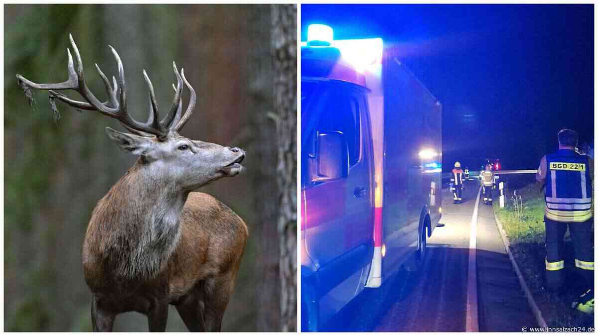 „Hätte überall passieren können“: Neue Details zum tödlichen Unfalldrama am Roßfeld