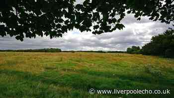 Six-figure boost for much loved Sefton country park on 25th anniversary
