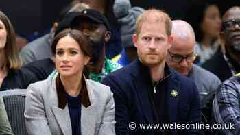 Netflix star's brutal two-word verdict on new neighbours Prince Harry and Meghan Markle