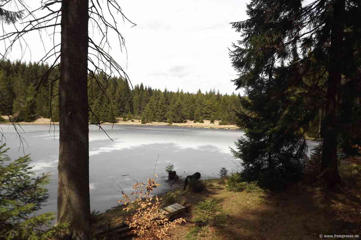 Wanderung bei Kühnhaide durch den Kriegwald zum Steinhübel