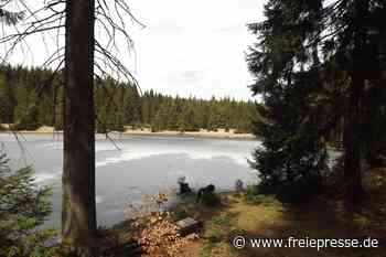 Wanderung bei Kühnhaide durch den Kriegwald zum Steinhübel