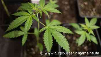 Warum Cannabis-Klubs in Bayern bis heute kein Gras anbauen dürfen