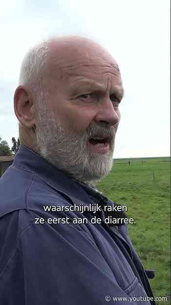 Nog altijd zorgen bij boer Willem na rioolbreuk
