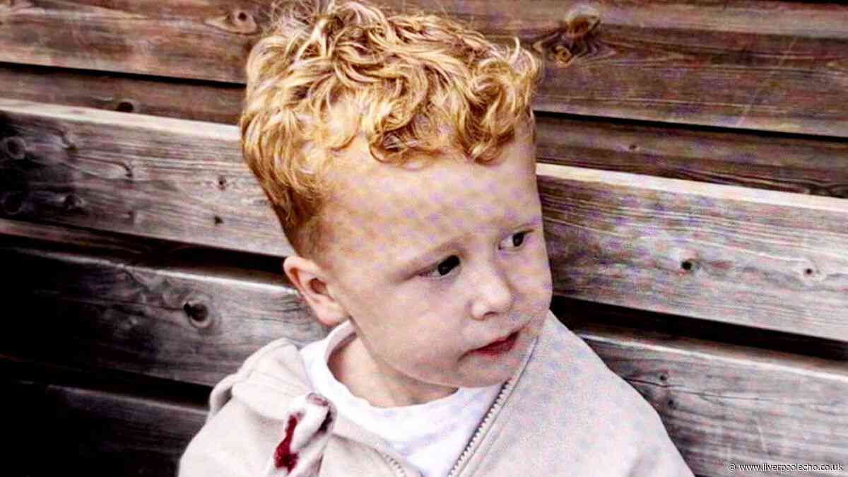 Family of missing boy Noah, 3, 'blown away' by public's support