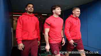 Wales internationals disagree on Tandy's best outside-half but both call for selection change