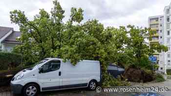 Unwetter trifft auch Traunreut: Bäume stürzen auf Gartenhäuser und Transporter