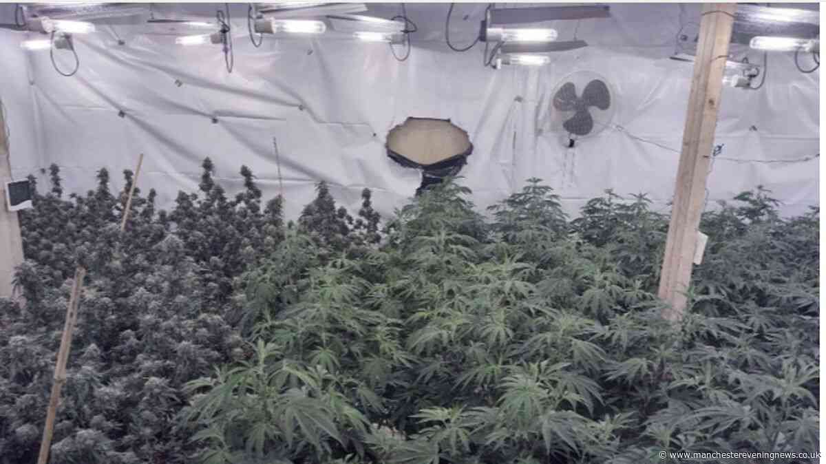 Cops uncover £1m cannabis farm in raid on Beswick warehouse