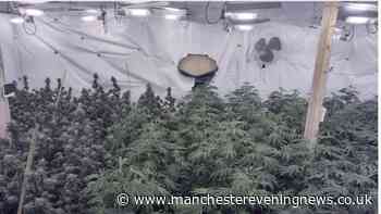 Cops uncover £1m cannabis farm in raid on Beswick warehouse
